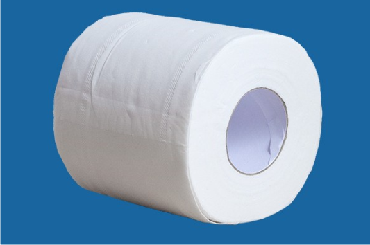 toilet roll 2